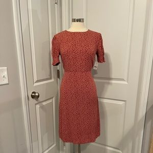 Beautiful Modern, Floral Sheath Dress by dip
